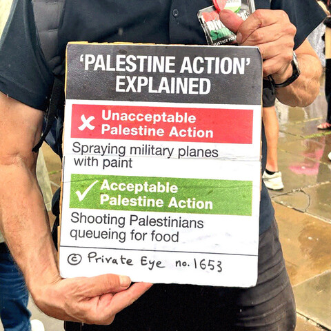 Photo of a protest sign being held up by a human. The sign reads:

"PALESTINE ACTION" EXPLAINED

(red background)

X Unacceptable Palestine Action

(white background)

Spraying military planes with paint

(green background)

√ Acceptable Palestine Action

(white background)

Shooting Palestinians queueing for food
