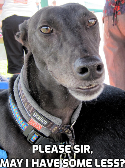 A photo of the head of a black greyhound looking directly at the photographer with slightly squinting eyes and jaws slightly open to reveal a little flash of teeth,

At the bottom of the image is the text:

PLEASE SIR,
MAY I HAVE SOME LESS?